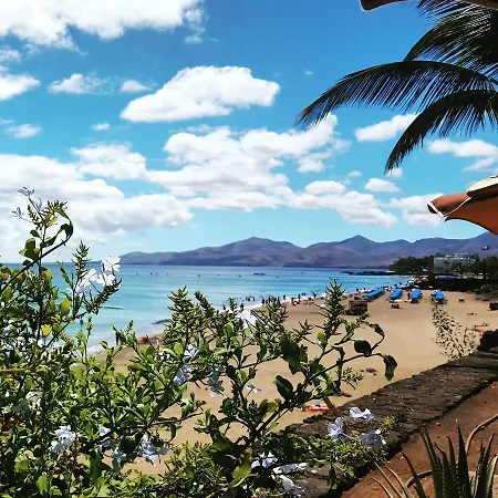 Διαμέρισμα Albatros *